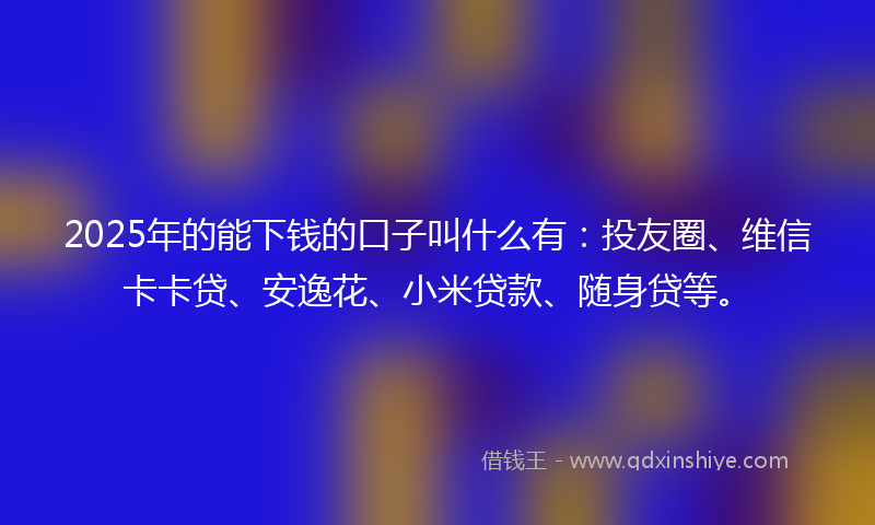 2025年的能下钱的口子叫什么有：投友圈、维信卡卡贷、安逸花、小米贷款、随身贷等。