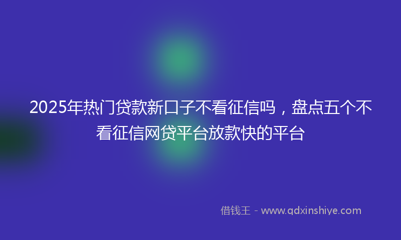 2025年热门贷款新口子不看征信吗，盘点五个不看征信网贷平台放款快的平台