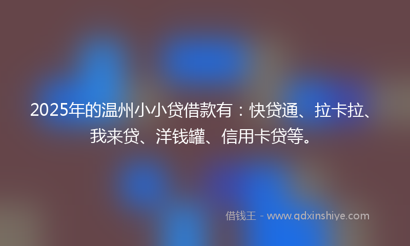 2025年的温州小小贷借款有：快贷通、拉卡拉、我来贷、洋钱罐、信用卡贷等。