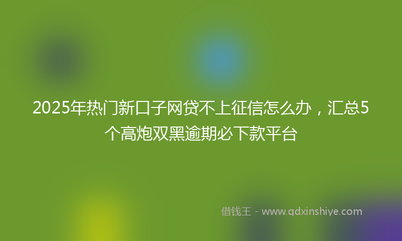 2025年热门新口子网贷不上征信怎么办，汇总5个高炮双黑逾期必下款平台