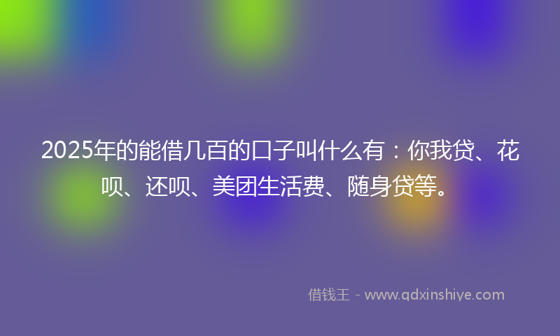 2025年的能借几百的口子叫什么有：你我贷、花呗、还呗、美团生活费、随身贷等。