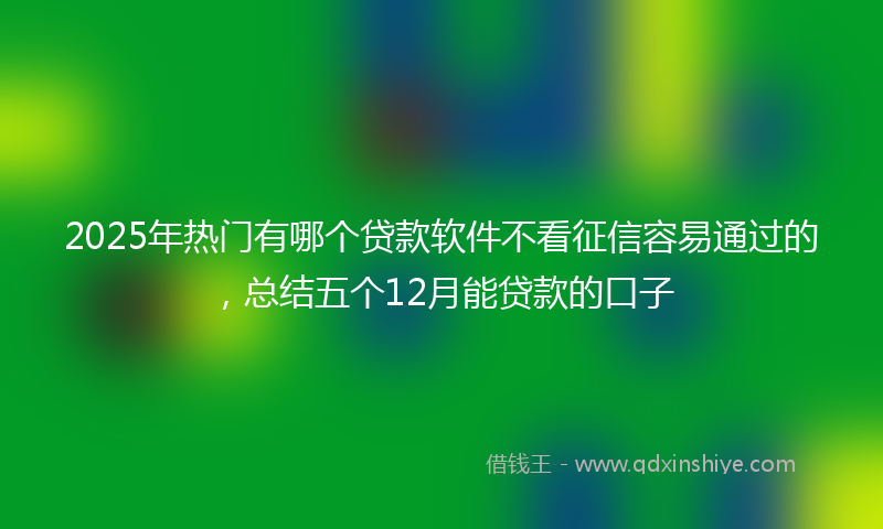 2025年热门有哪个贷款软件不看征信容易通过的，总结五个12月能贷款的口子