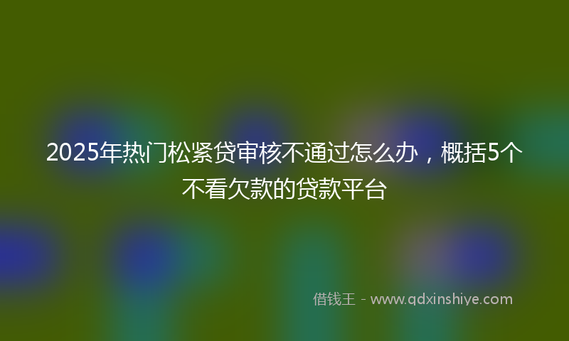 2025年热门松紧贷审核不通过怎么办，概括5个不看欠款的贷款平台