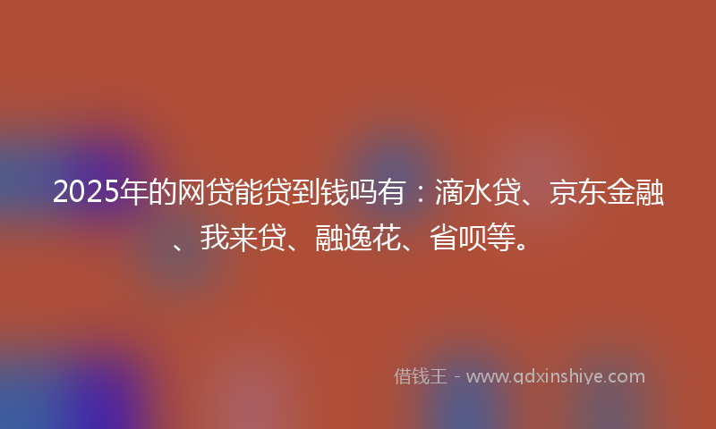 2025年的网贷能贷到钱吗有：滴水贷、京东金融、我来贷、融逸花、省呗等。
