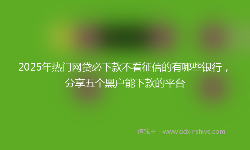 2025年热门网贷必下款不看征信的有哪些银行，分享五个黑户能下款的平台