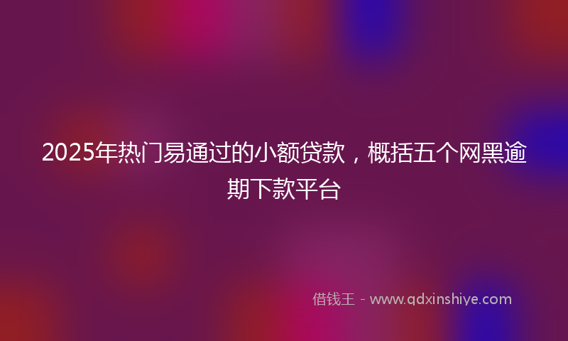 2025年热门易通过的小额贷款，概括五个网黑逾期下款平台