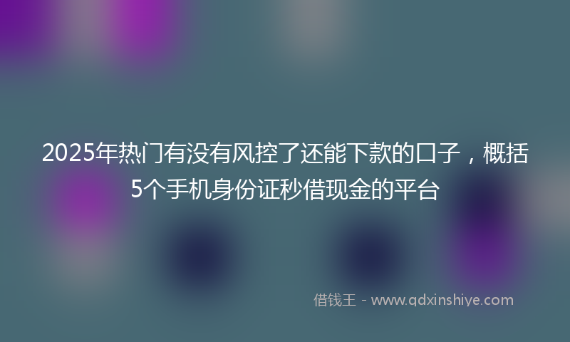 2025年热门有没有风控了还能下款的口子，概括5个手机身份证秒借现金的平台