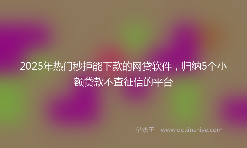 2025年热门秒拒能下款的网贷软件，归纳5个小额贷款不查征信的平台