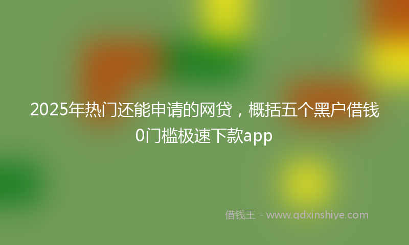 2025年热门还能申请的网贷，概括五个黑户借钱0门槛极速下款app