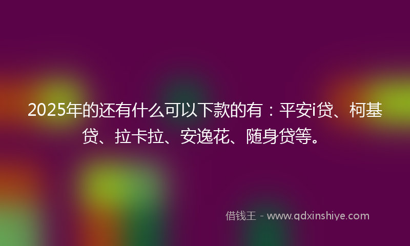 2025年的还有什么可以下款的有：平安i贷、柯基贷、拉卡拉、安逸花、随身贷等。