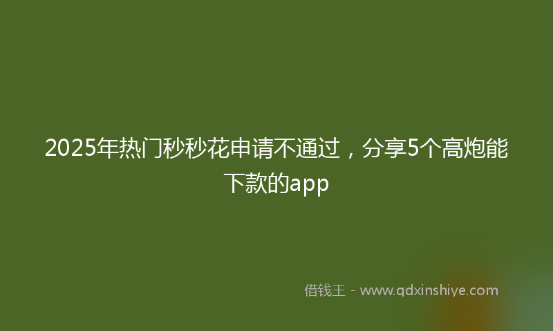 2025年热门秒秒花申请不通过，分享5个高炮能下款的app