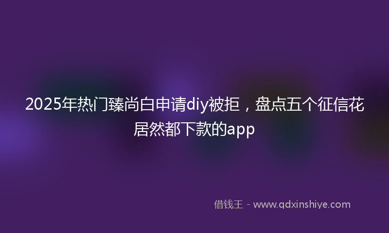 2025年热门臻尚白申请diy被拒，盘点五个征信花居然都下款的app