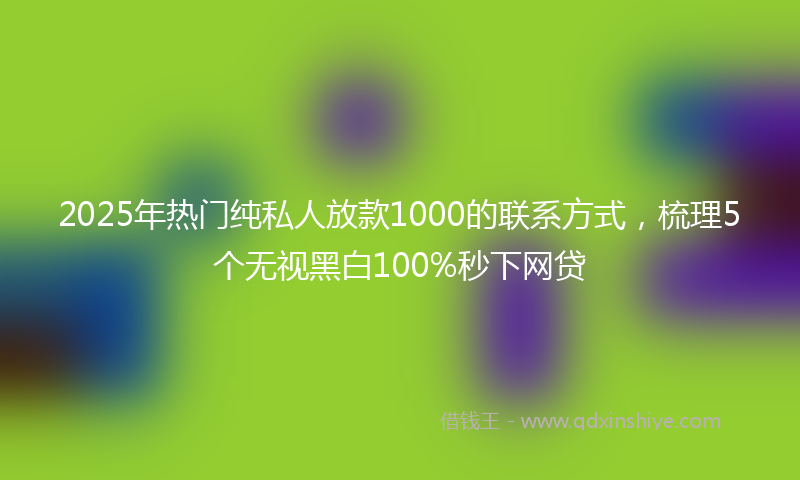2025年热门纯私人放款1000的联系方式，梳理5个无视黑白100%秒下网贷