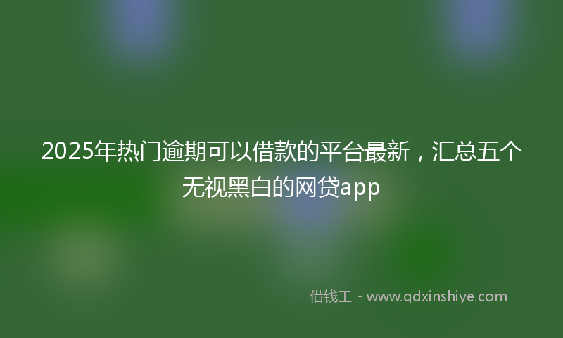 2025年热门逾期可以借款的平台最新，汇总五个无视黑白的网贷app