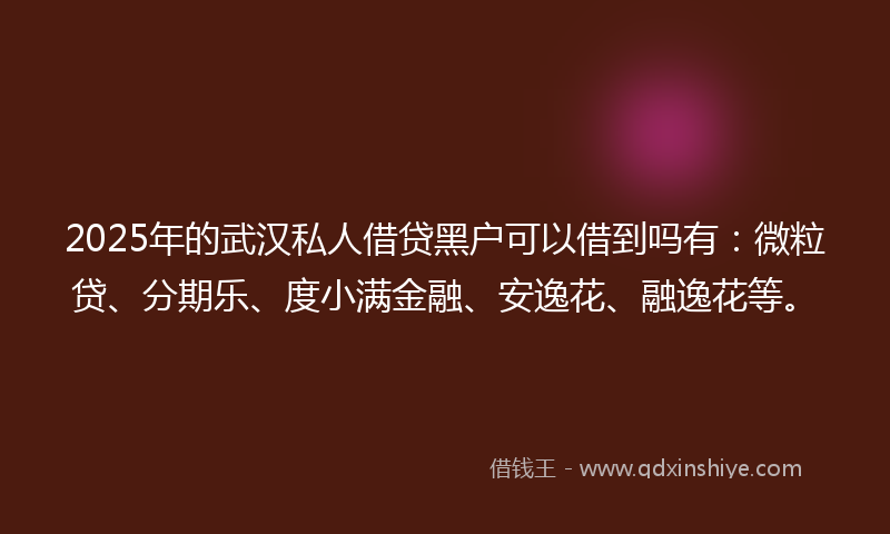 2025年的武汉私人借贷黑户可以借到吗有：微粒贷、分期乐、度小满金融、安逸花、融逸花等。