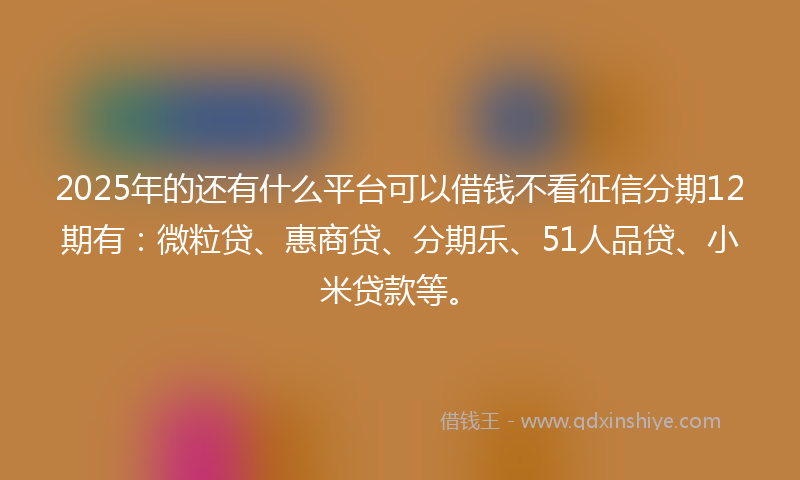 2025年的还有什么平台可以借钱不看征信分期12期有：微粒贷、惠商贷、分期乐、51人品贷、小米贷款等。