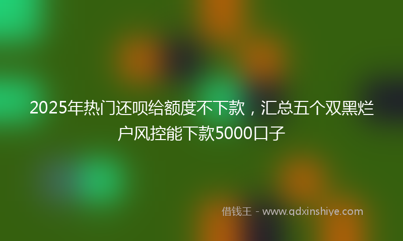 2025年热门还呗给额度不下款，汇总五个双黑烂户风控能下款5000口子