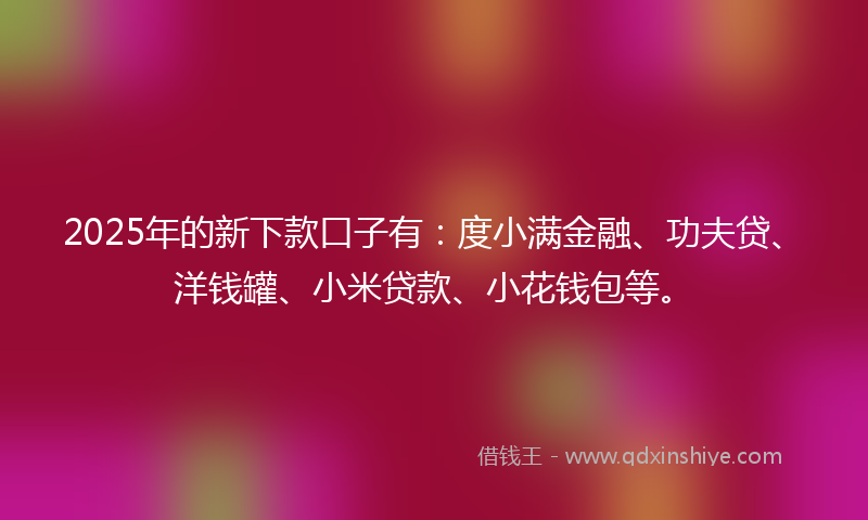 2025年的新下款口子有：度小满金融、功夫贷、洋钱罐、小米贷款、小花钱包等。