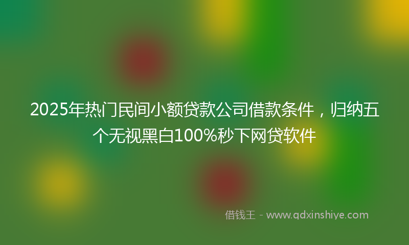 2025年热门民间小额贷款公司借款条件，归纳五个无视黑白100%秒下网贷软件