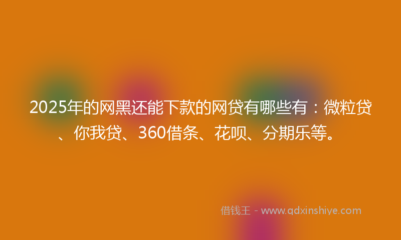 2025年的网黑还能下款的网贷有哪些有：微粒贷、你我贷、360借条、花呗、分期乐等。