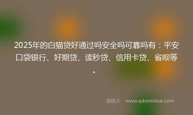 2025年的白猫贷好通过吗安全吗可靠吗有：平安口袋银行、好期贷、读秒贷、信用卡贷、省呗等。