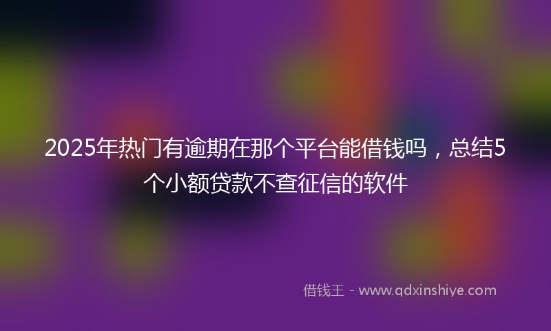 2025年热门有逾期在那个平台能借钱吗，总结5个小额贷款不查征信的软件