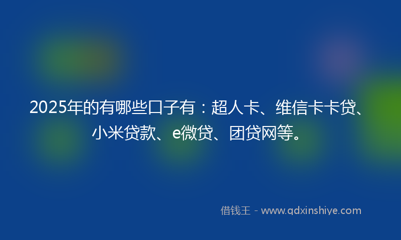 2025年的有哪些口子有：超人卡、维信卡卡贷、小米贷款、e微贷、团贷网等。
