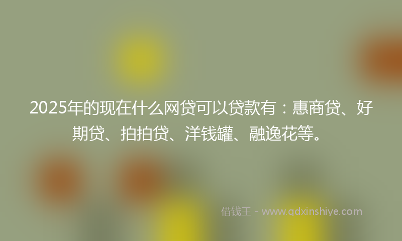 2025年的现在什么网贷可以贷款有：惠商贷、好期贷、拍拍贷、洋钱罐、融逸花等。