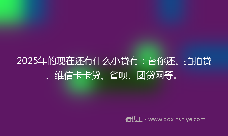 2025年的现在还有什么小贷有：替你还、拍拍贷、维信卡卡贷、省呗、团贷网等。