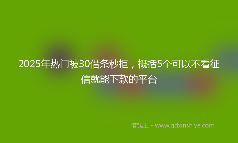 2025年热门被30借条秒拒，概括5个可以不看征信就能下款的平台