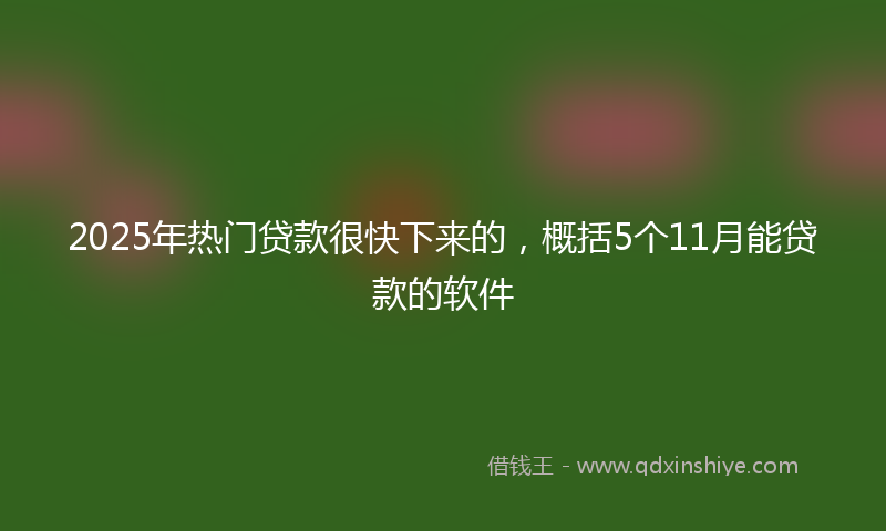 2025年热门贷款很快下来的，概括5个11月能贷款的软件