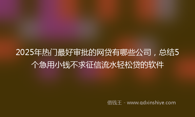 2025年热门最好审批的网贷有哪些公司，总结5个急用小钱不求征信流水轻松贷的软件