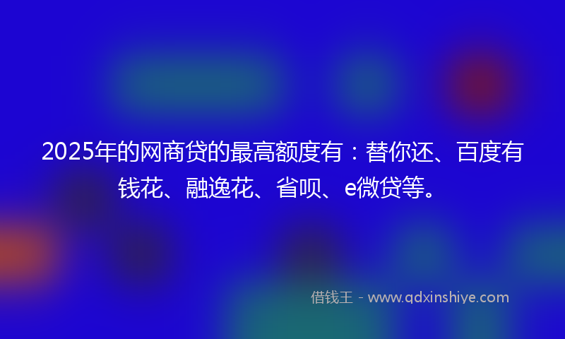 2025年的网商贷的最高额度有：替你还、百度有钱花、融逸花、省呗、e微贷等。
