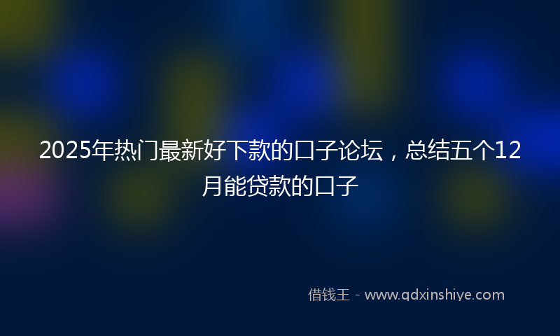 2025年热门最新好下款的口子论坛，总结五个12月能贷款的口子