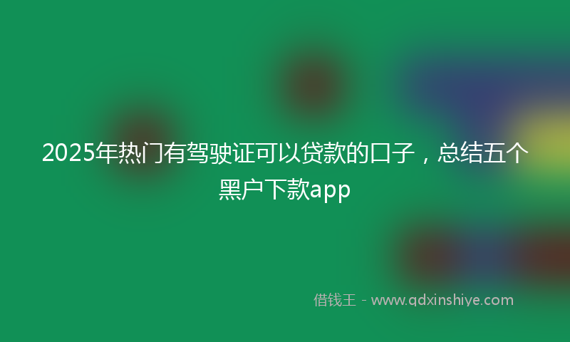 2025年热门有驾驶证可以贷款的口子，总结五个黑户下款app