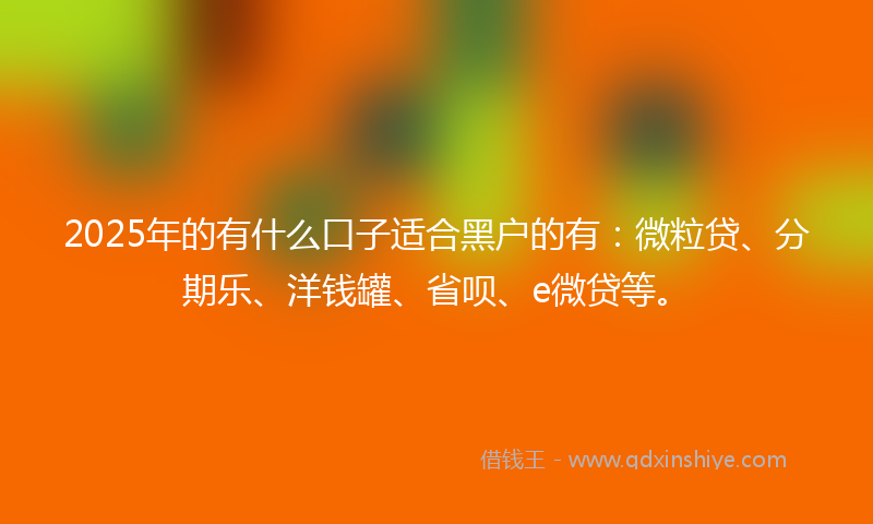 2025年的有什么口子适合黑户的有：微粒贷、分期乐、洋钱罐、省呗、e微贷等。