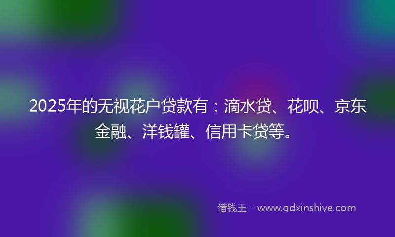 2025年的无视花户贷款有：滴水贷、花呗、京东金融、洋钱罐、信用卡贷等。