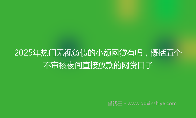 2025年热门无视负债的小额网贷有吗，概括五个不审核夜间直接放款的网贷口子