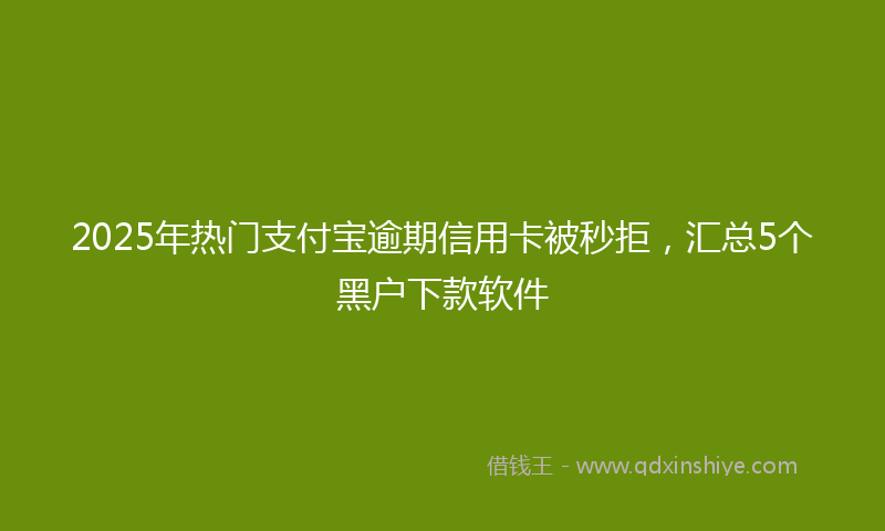 2025年热门支付宝逾期信用卡被秒拒，汇总5个黑户下款软件