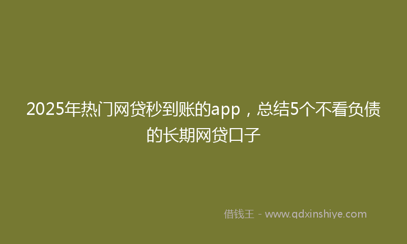 2025年热门网贷秒到账的app，总结5个不看负债的长期网贷口子