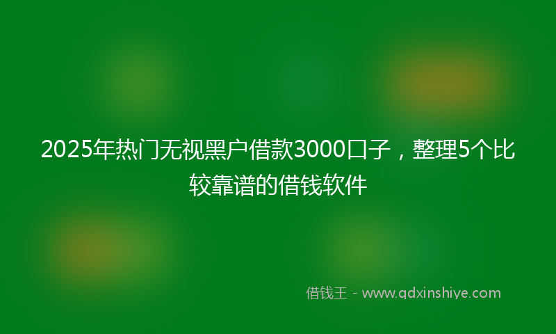 2025年热门无视黑户借款3000口子，整理5个比较靠谱的借钱软件