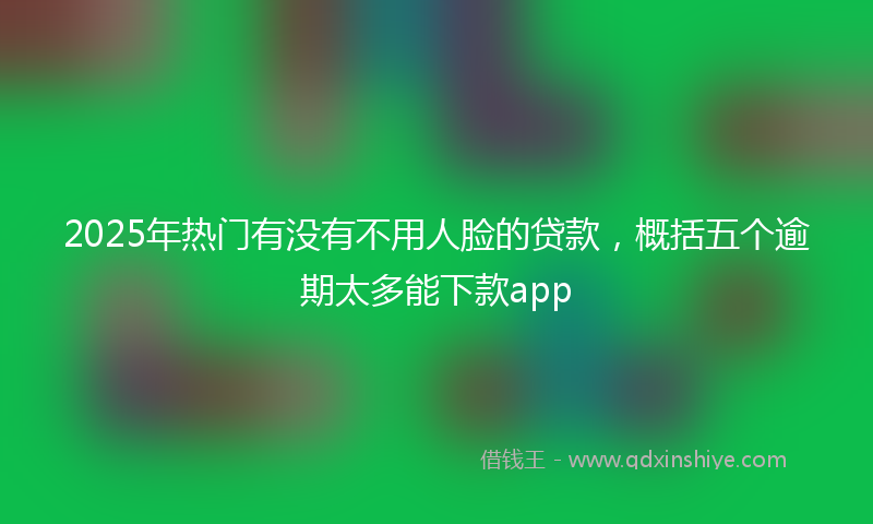 2025年热门有没有不用人脸的贷款，概括五个逾期太多能下款app