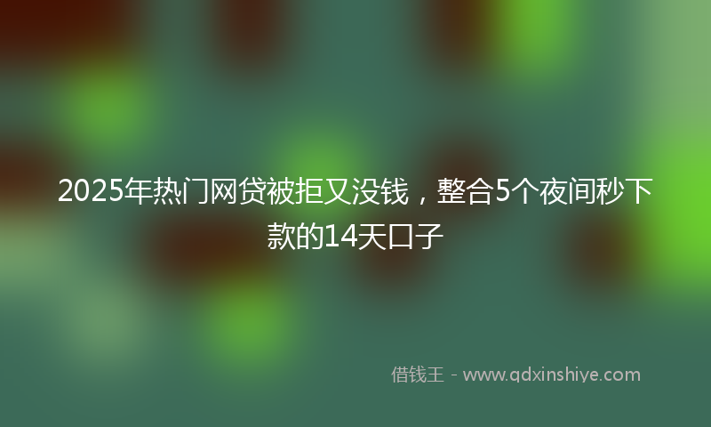 2025年热门网贷被拒又没钱，整合5个夜间秒下款的14天口子