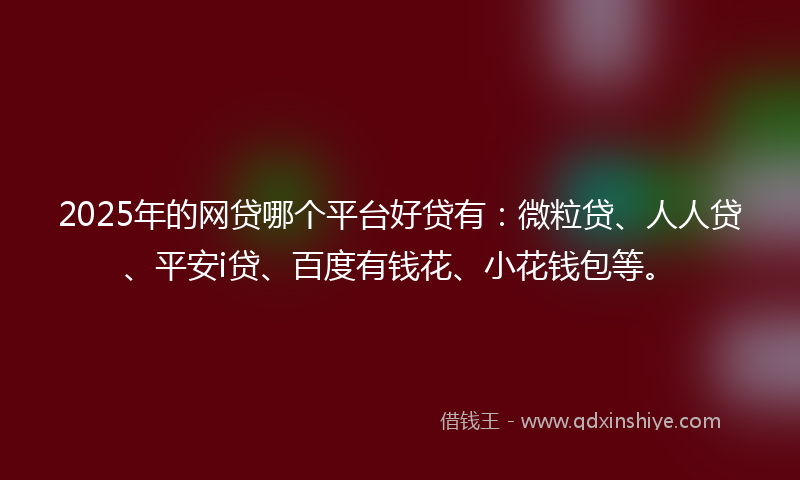 2025年的网贷哪个平台好贷有：微粒贷、人人贷、平安i贷、百度有钱花、小花钱包等。