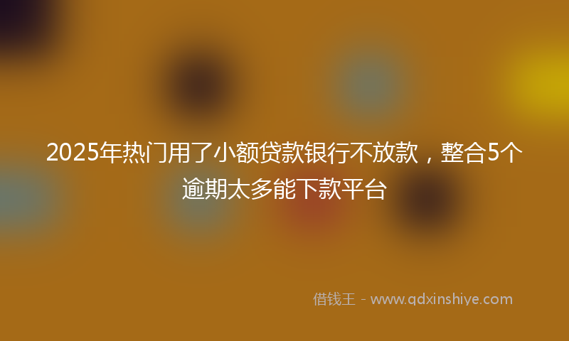 2025年热门用了小额贷款银行不放款，整合5个逾期太多能下款平台