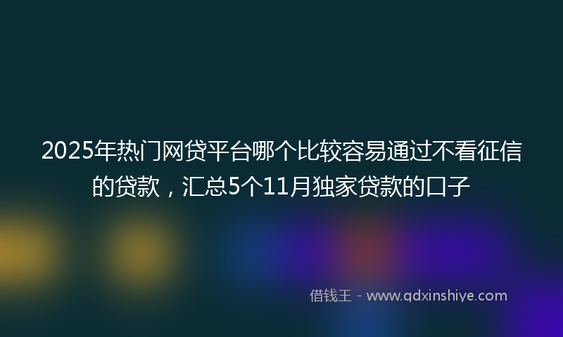 2025年热门网贷平台哪个比较容易通过不看征信的贷款，汇总5个11月独家贷款的口子