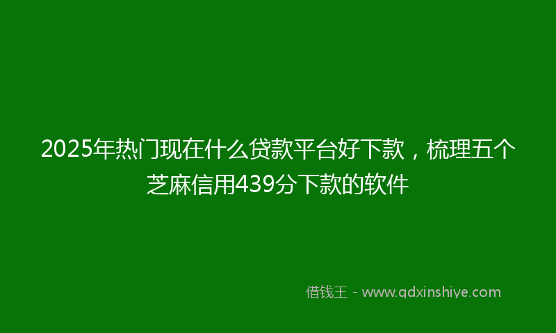 2025年热门现在什么贷款平台好下款，梳理五个芝麻信用439分下款的软件