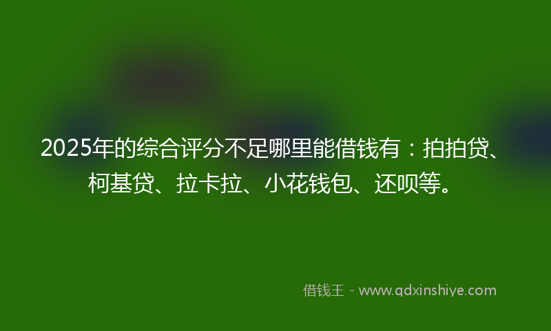 2025年的综合评分不足哪里能借钱有：拍拍贷、柯基贷、拉卡拉、小花钱包、还呗等。