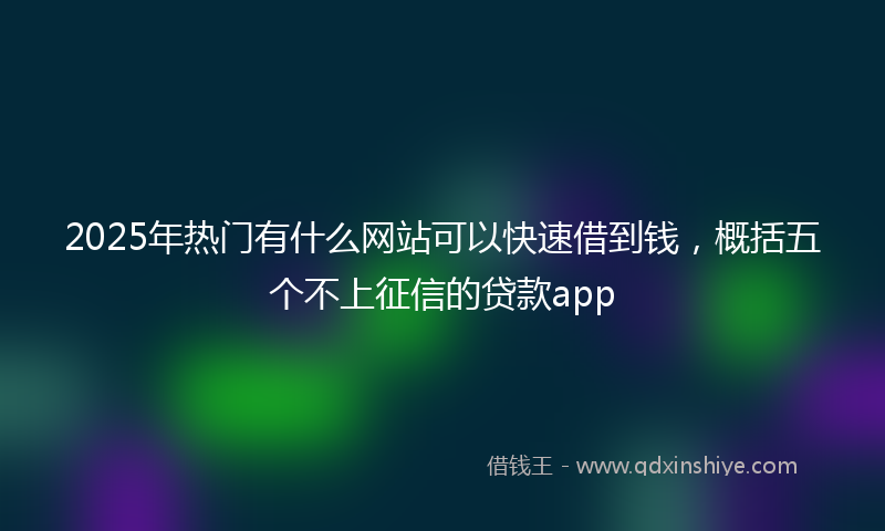 2025年热门有什么网站可以快速借到钱，概括五个不上征信的贷款app