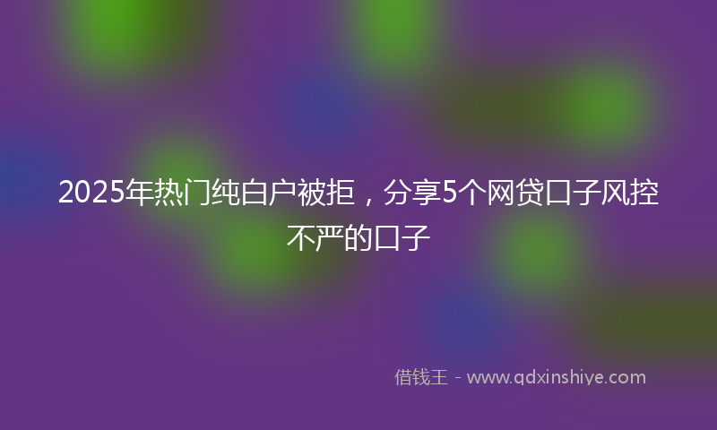 2025年热门纯白户被拒，分享5个网贷口子风控不严的口子